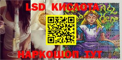 прущие крисы Кингисепп