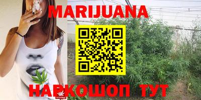 PSILOCYBIN Кимры