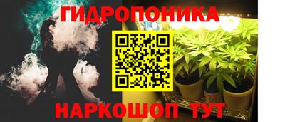 PSILOCYBIN Кимры