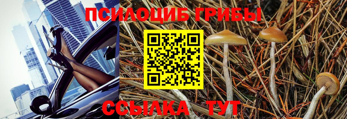 Псилоцибиновые грибы Magic Shrooms Кольчугино