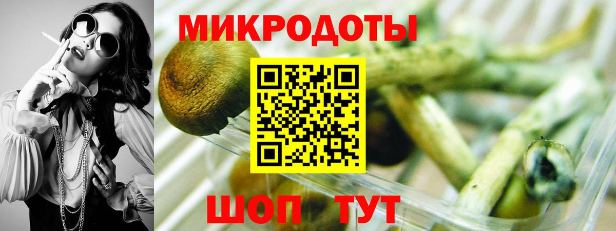Галлюциногенные грибы MAGIC MUSHROOMS  Вход с VPN  Кольчугино 